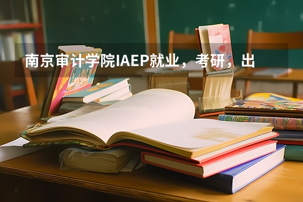 南京审计学院IAEP就业，考研，出国情况怎么样啊？